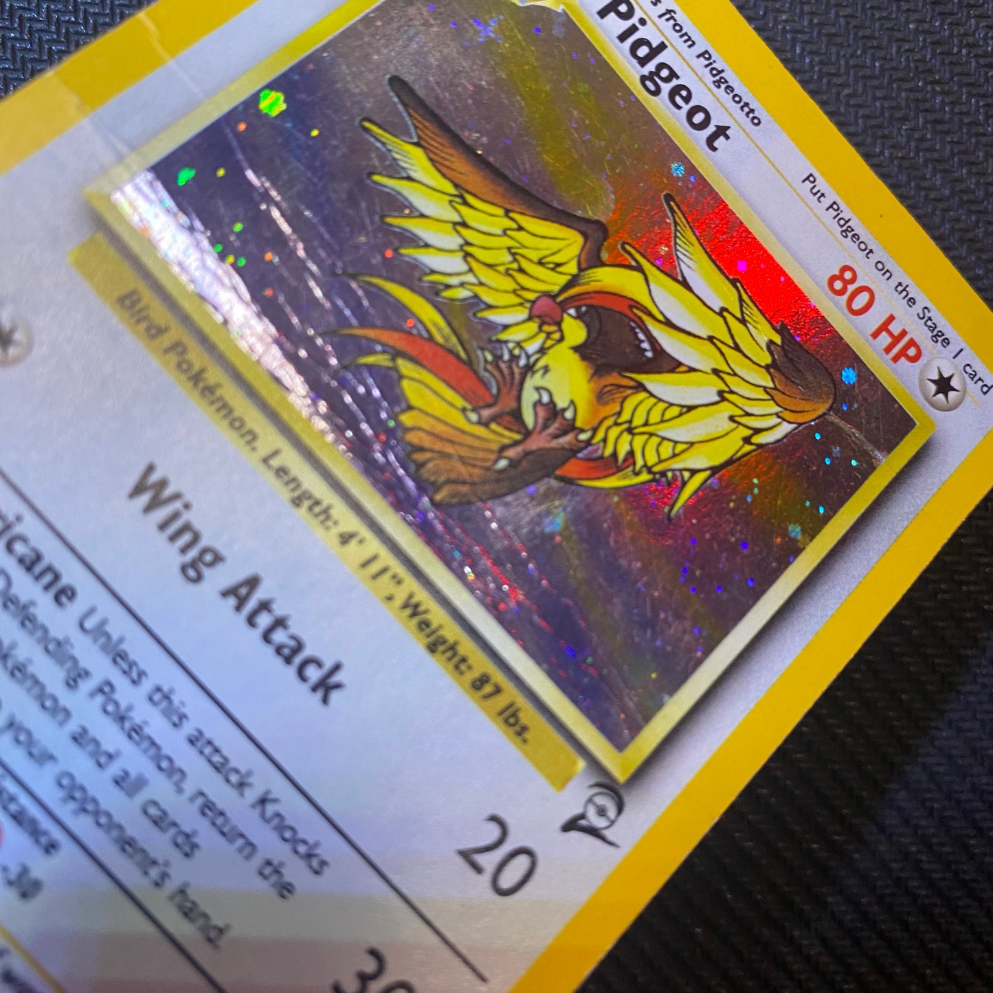 Pidgeot | #14 | HP | Base set 2 | ENG | 2000