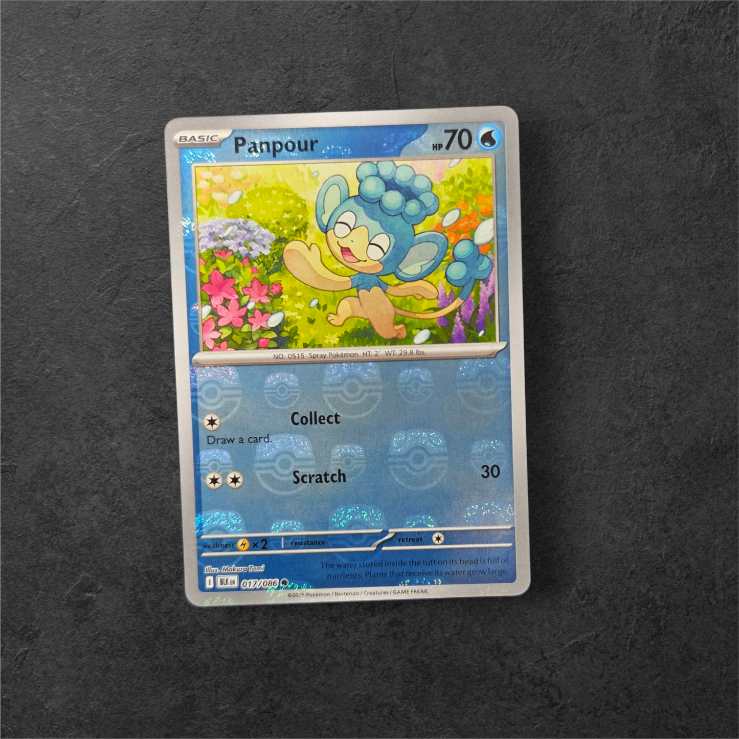 Panpour Master Ball | #017 | NM | Black Bolt | English | 2025