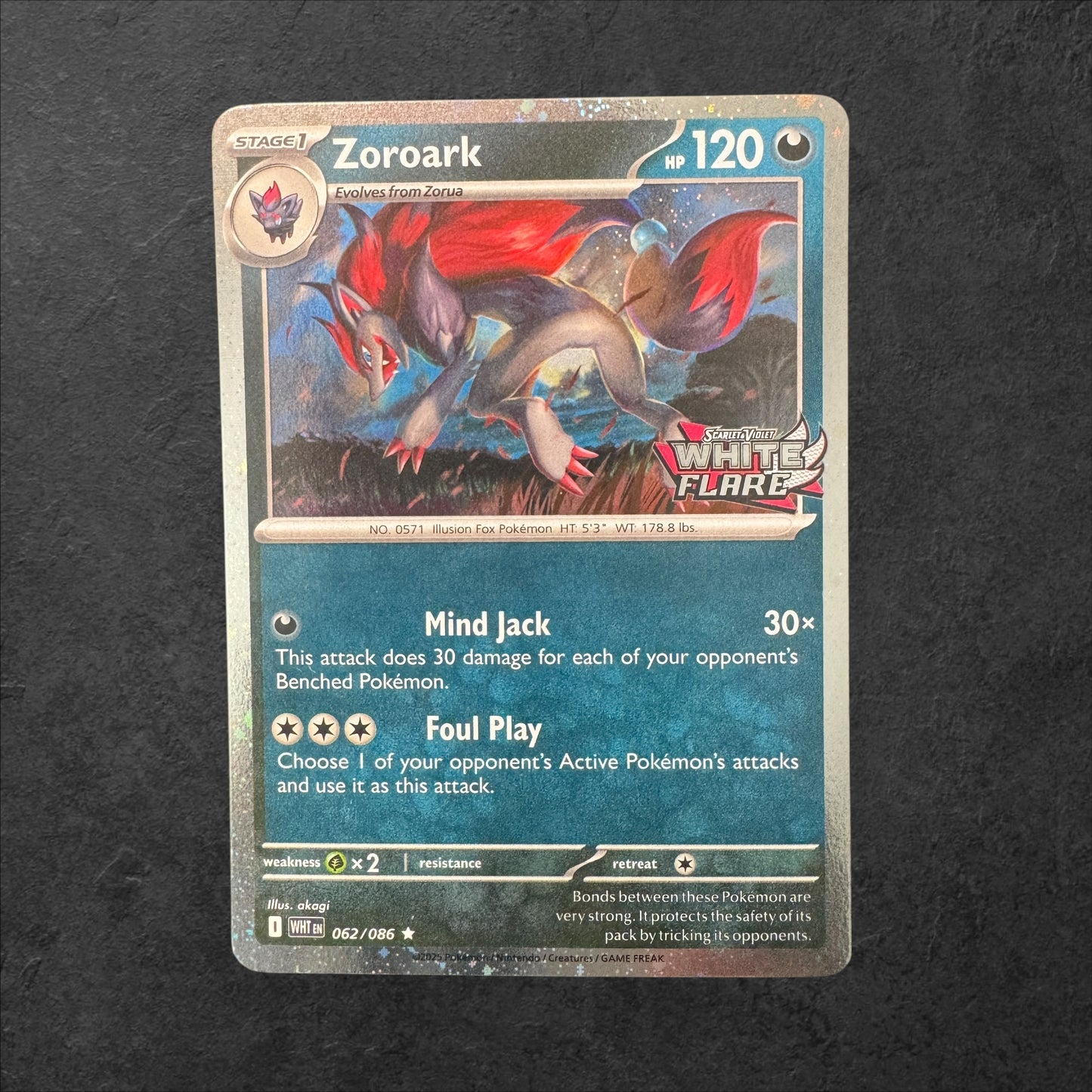 Stamped Promo Bundle - Victini, Zoroark, Zekrom ex & Reshiram ex | NM | Heavy Hitters Promos | English | 2025