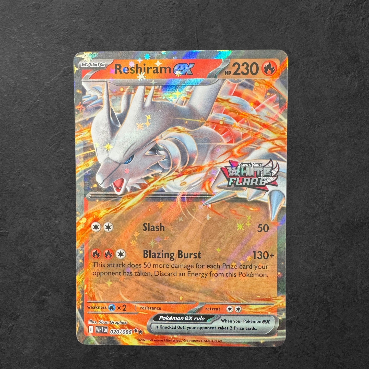 Stamped Promo Bundle - Victini, Zoroark, Zekrom ex & Reshiram ex | NM | Heavy Hitters Promos | English | 2025