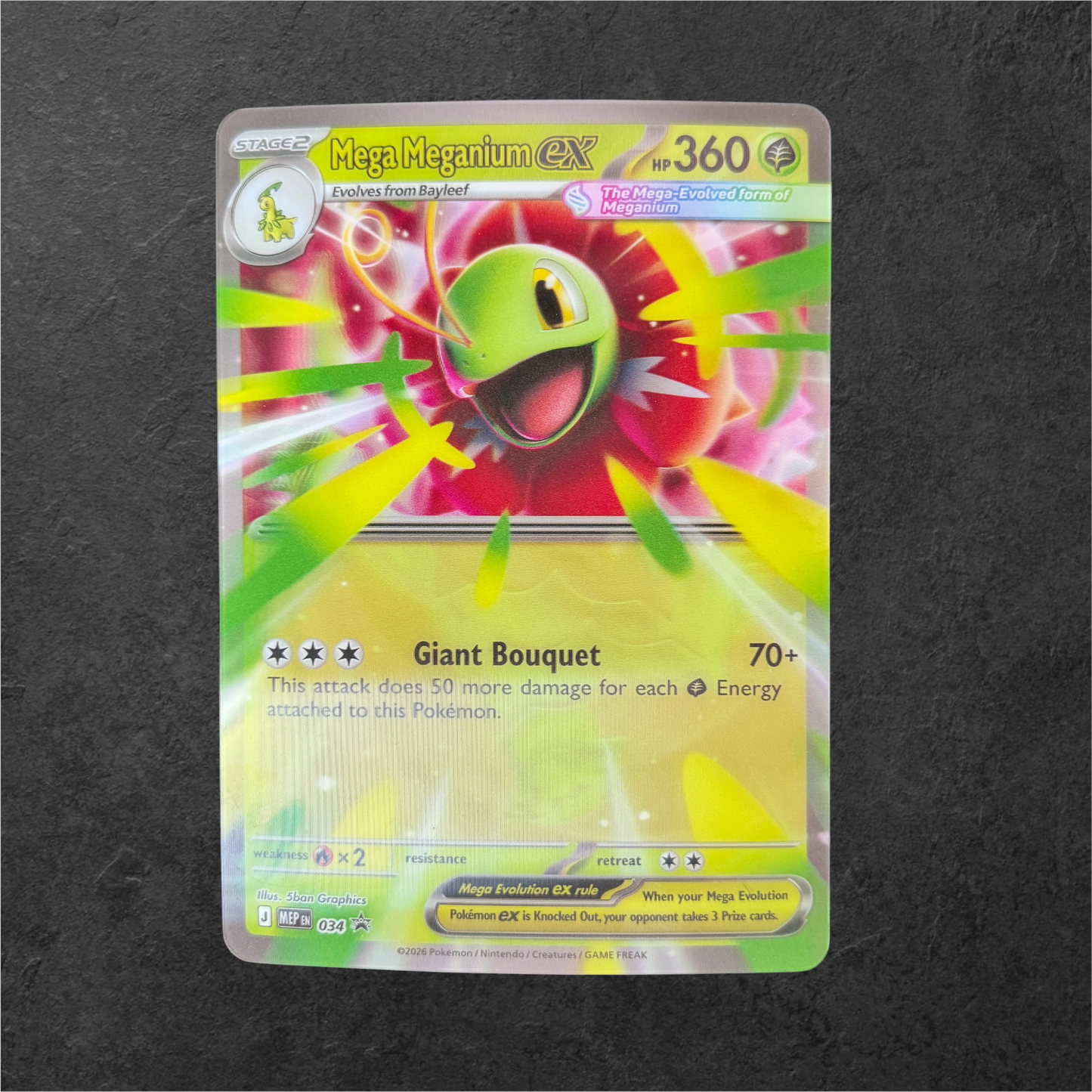 Pokémon Jumbo Cards - Pick Your Card
