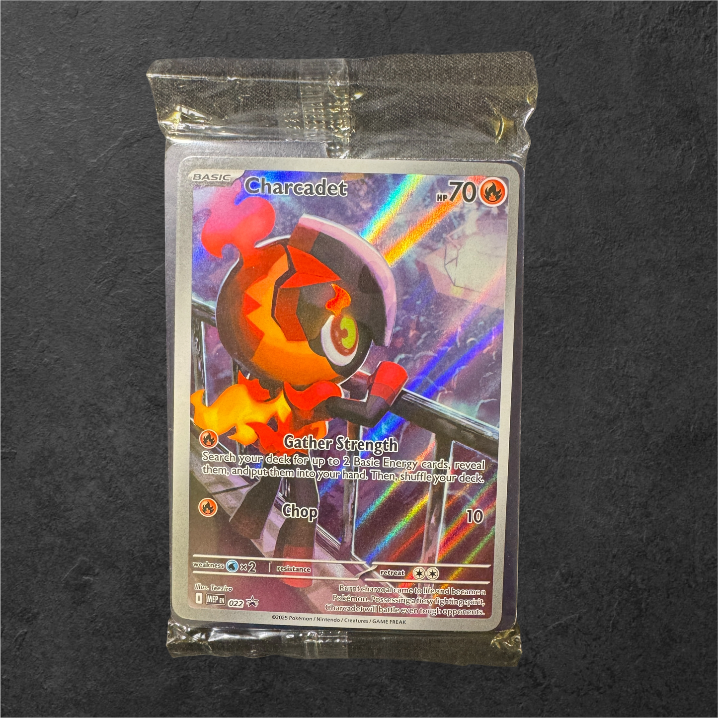 Charcadet | #022 | Sealed | Mega Evolution Black Star Promo | English | 2025