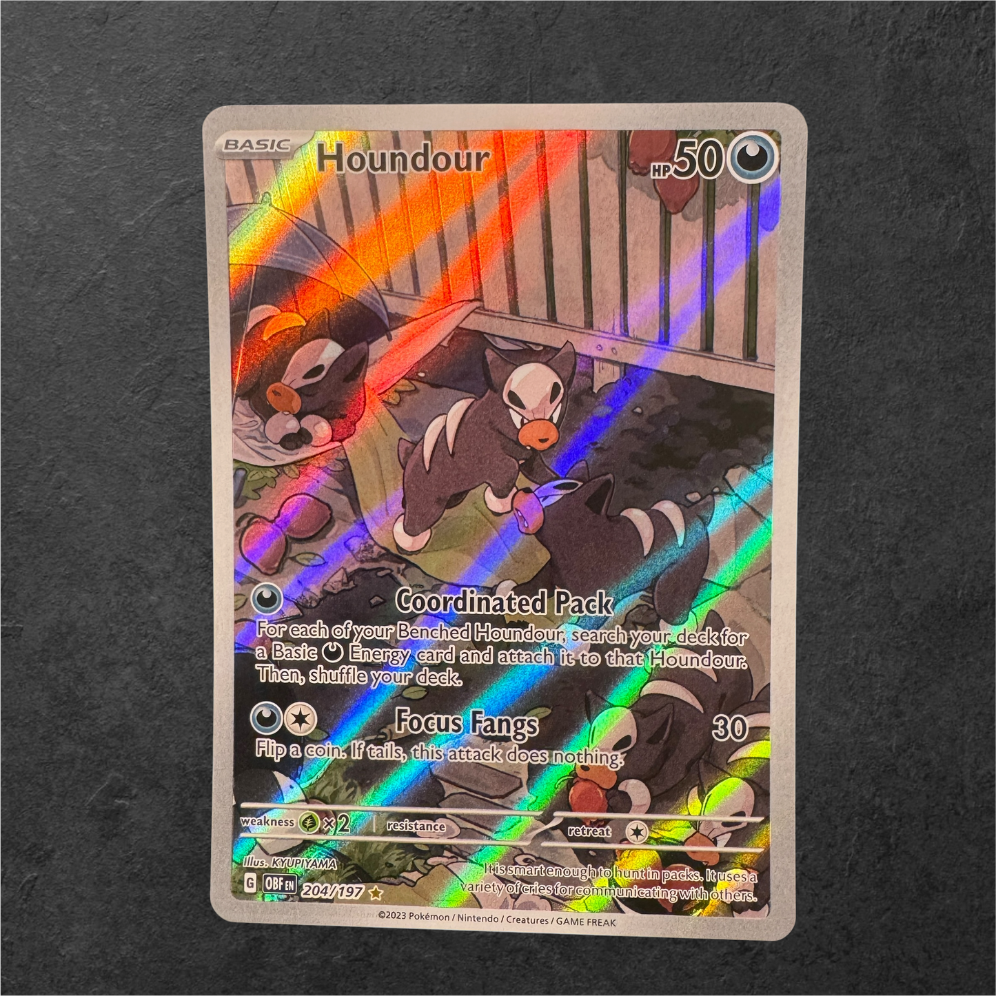 Houndour | #204 | NM | Obsidian Flames | English | 2023