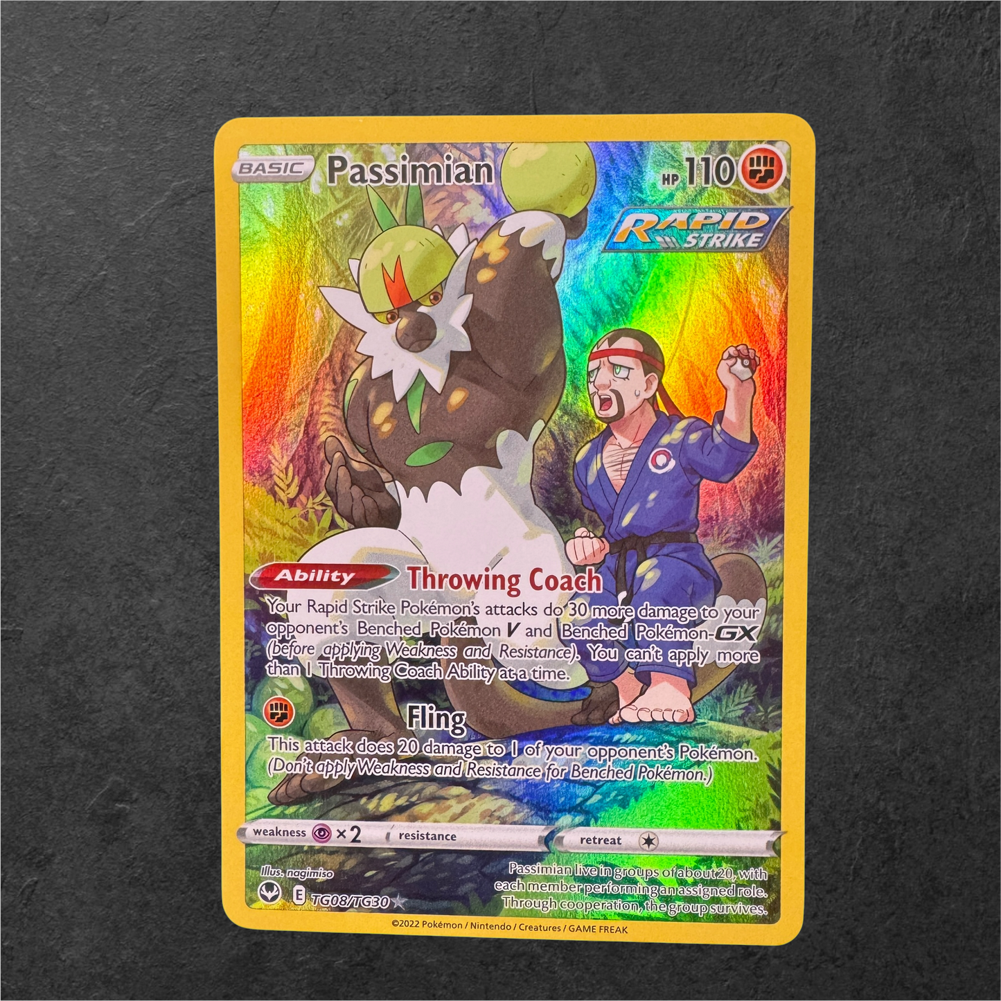 Passimian | #TG08 | NM | Silver Tempest Trainer Gallery | English | 2022