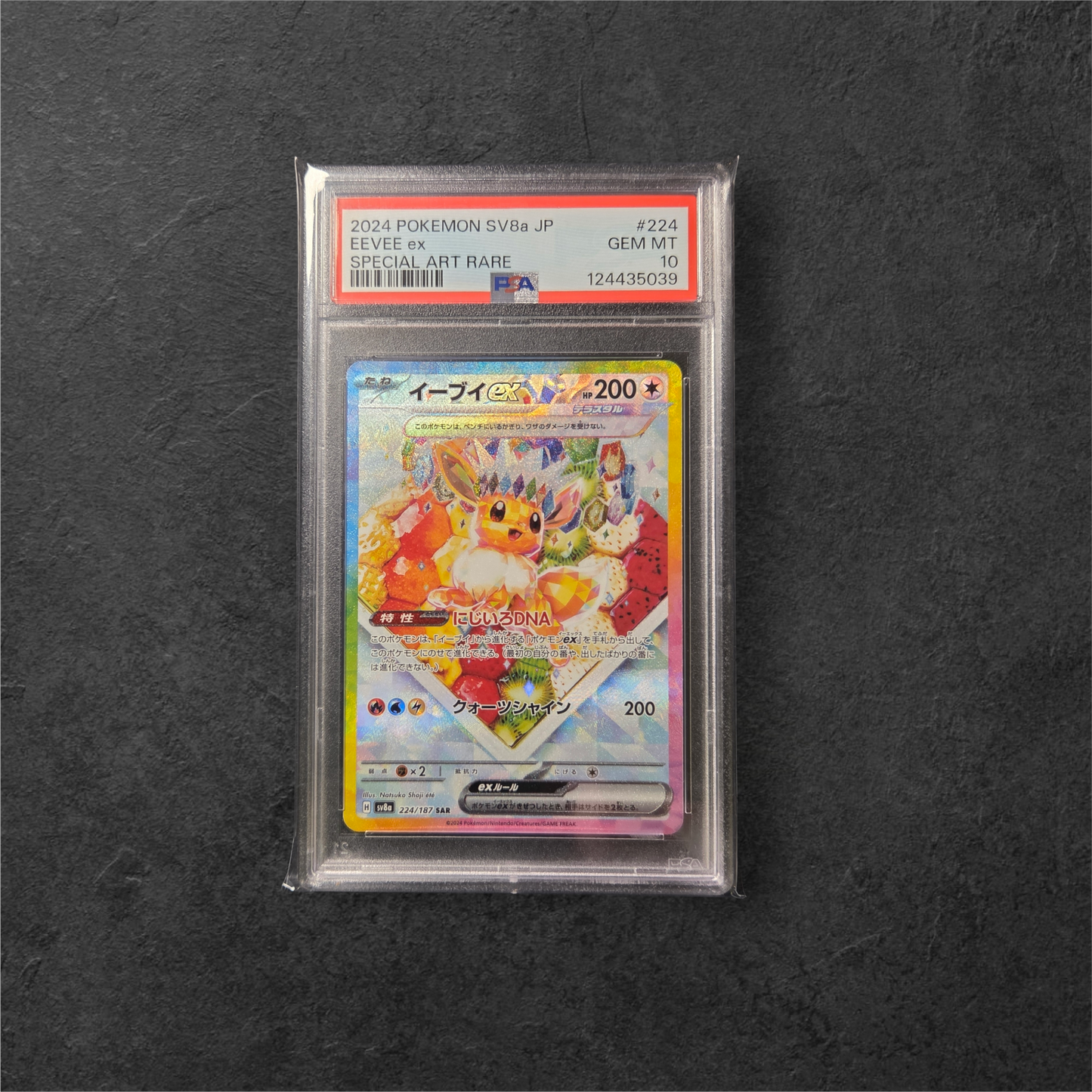 Eevee ex | #224 | PSA 10 | Terastal Festival ex | Japanese | 2024